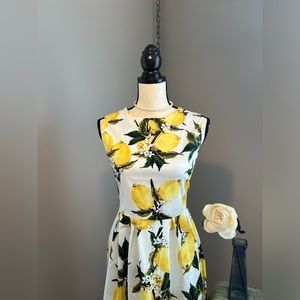 Lemon Print 60s Style Garden Dress